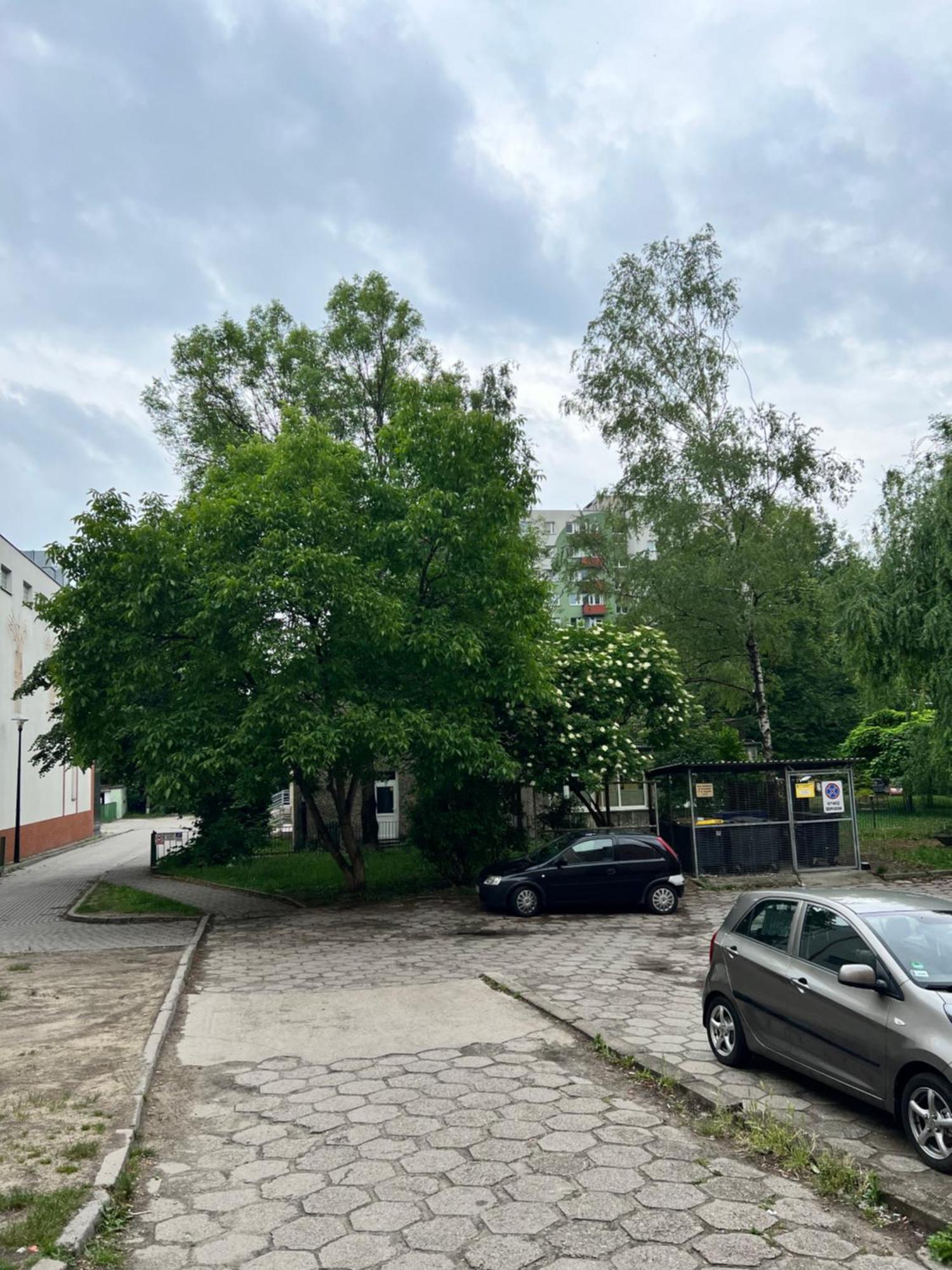 Nocleg Opole Kopernik Apartament Kültér fotó